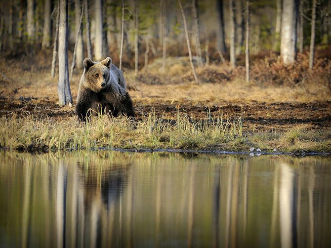 Лучшие фотографии National Geographic в июле